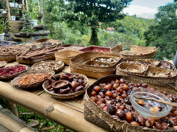 Looks Delicious Munduk Bali Print