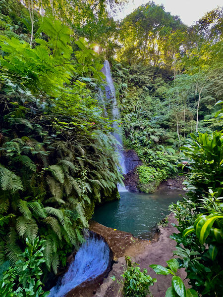 Munduk Waterfalls Bali 1 Print