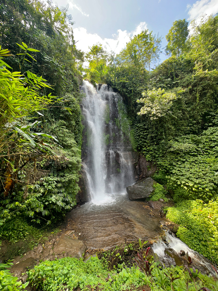 Munduk Waterfalls Bali 2 Print
