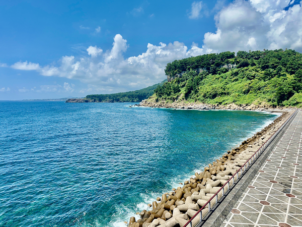 Seogwipo Jeju South Korea 7 Print