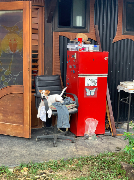 The Red Fridge and the Dog 1 Print