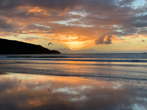 Amazing Sunset with Bird Print