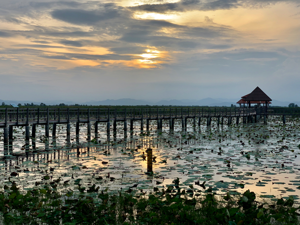 Amazing Walkway on the Lake at Sunset 2 Print