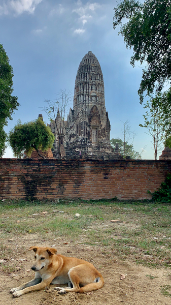 Ayutthaya Historical Park Temples 10 Print