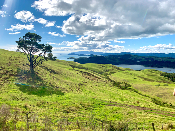 Beautiful Scenery  Print