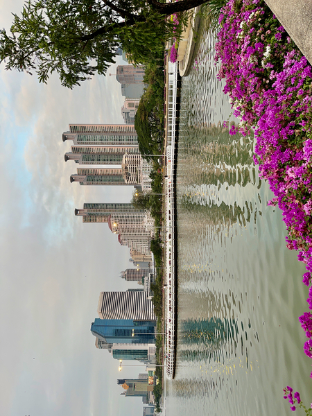 Benchakitti Park Bangkok Print