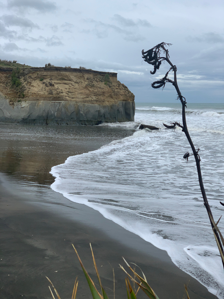 Black Sand on the Coast Print