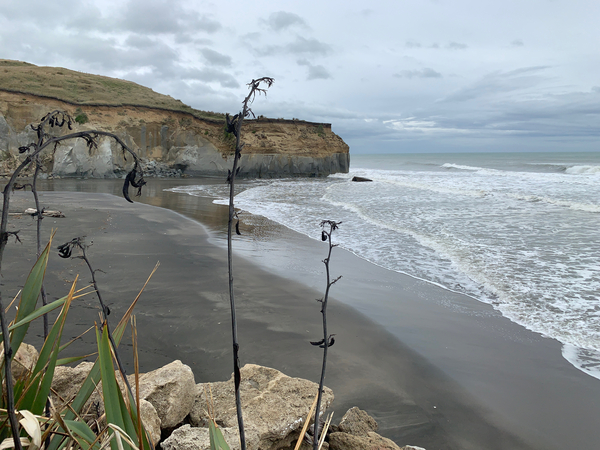 Black Sand on the Coast 2 Print