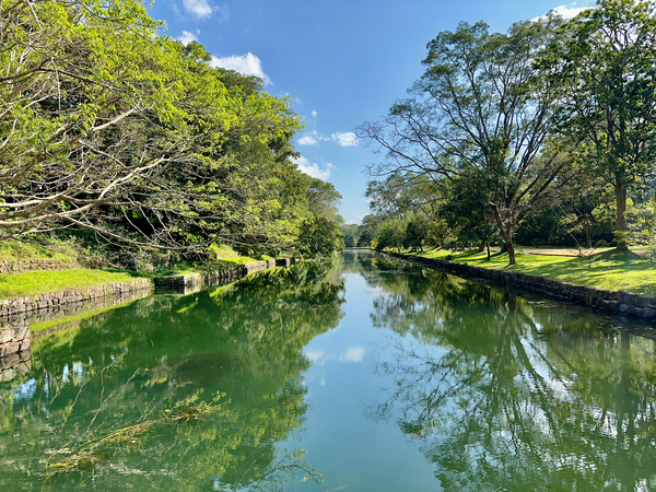 Both Side Reflections Print