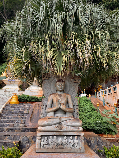 Buddha Under the Tree Print