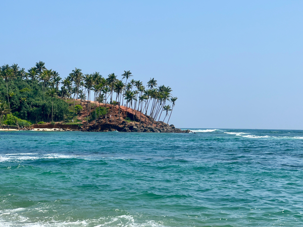 Coconut Hill Ahead Print