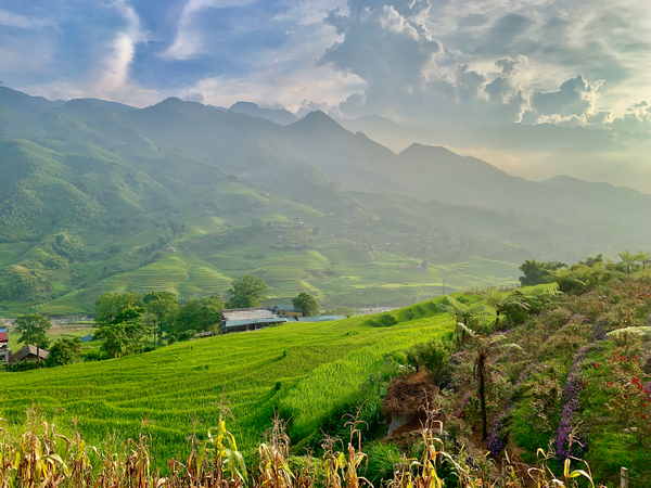 Dreamy Sunset Over the Rice Fields 2 Print