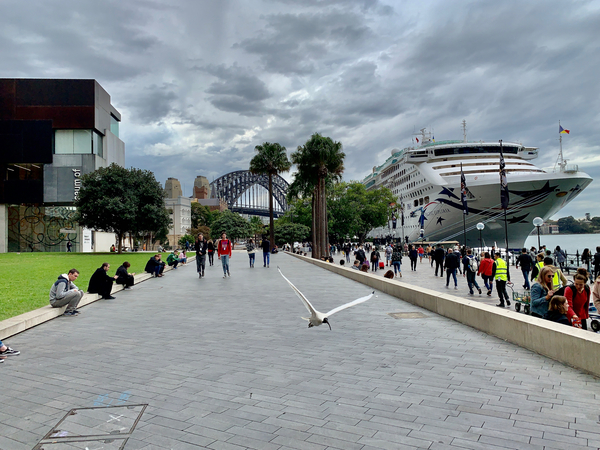 Fly for the Cruise Print