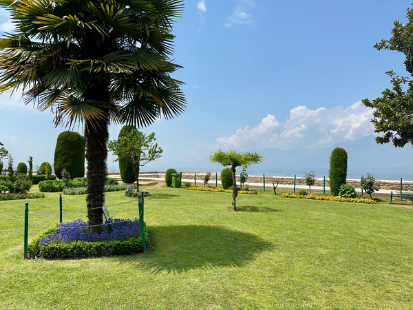 Garden in the Sky Print