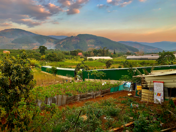 Gardens Mountains  Sunset Print