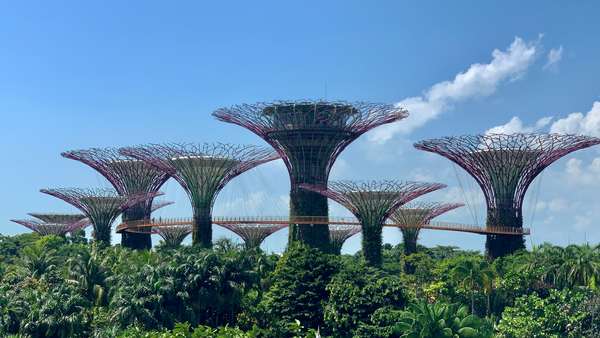 Gardens by the Bay Singapore Print