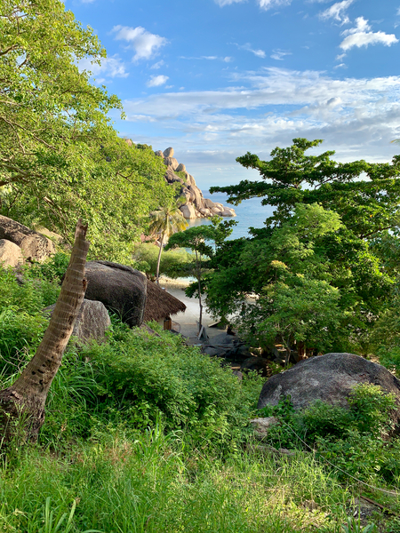 Hidden Gem Bungalow Print