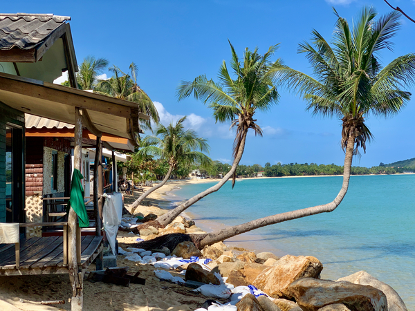 L Shaped Palm Trees Beach 2 Print