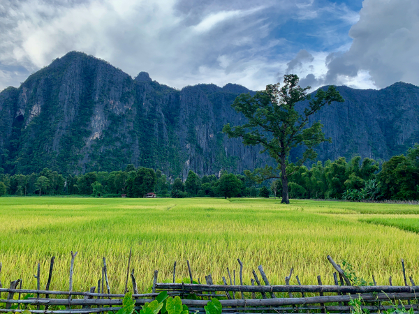 Laos Mountains Print