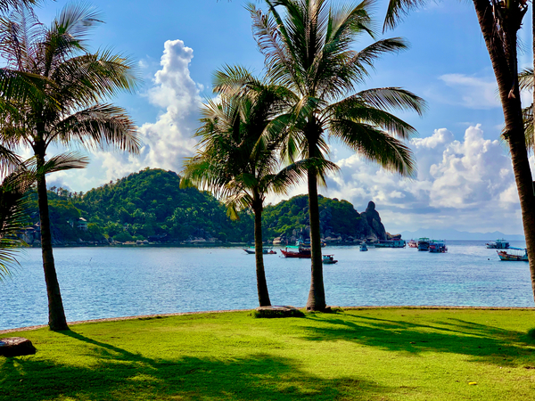 Lay Down on the Grass and Enjoy Print