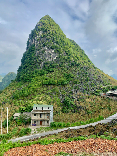 Living by the Hill Print