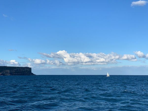Lonely Sailing Print