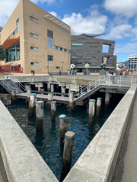 Museum of New Zealand Te Papa Tongarewa Print