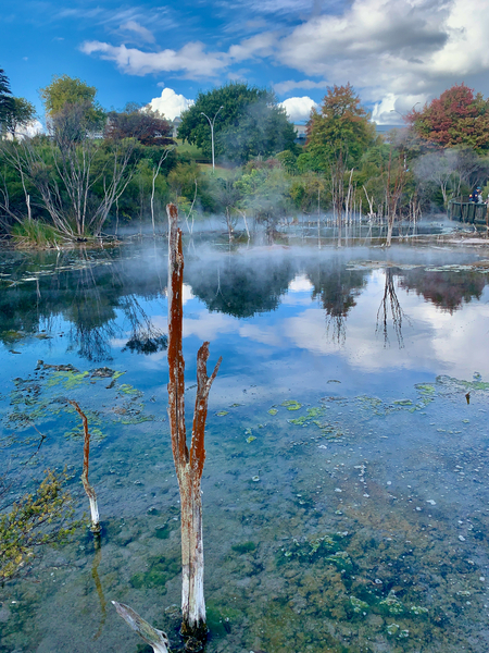 Mysterious Reflection Print
