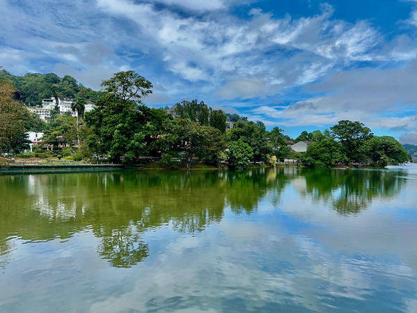 Natures Reflections 2 Print