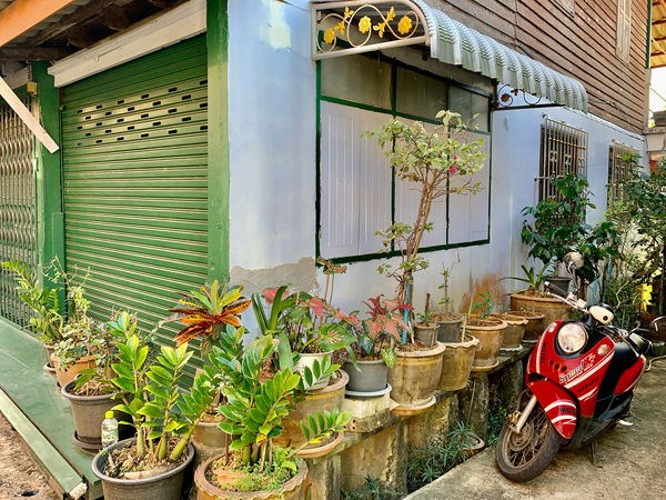 Plants on the Corner Print