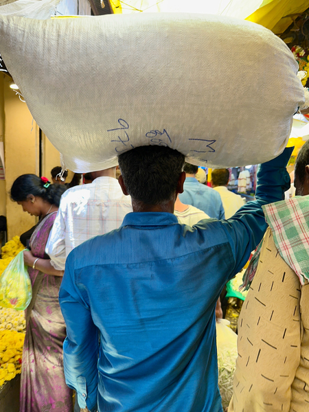 Rice Bag on the Head Print