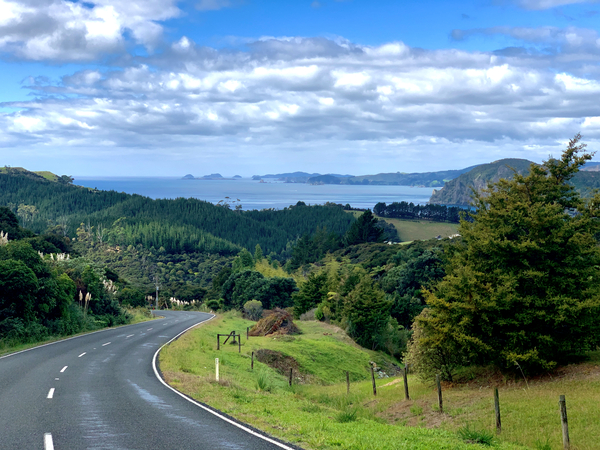 Road to the Bay Print