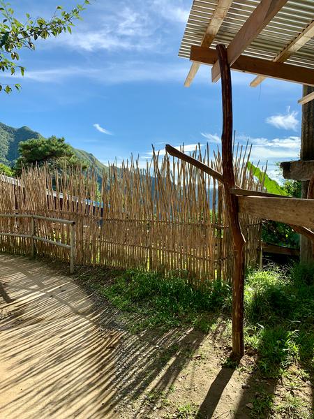 Sun Through the Bamboo Fence Print