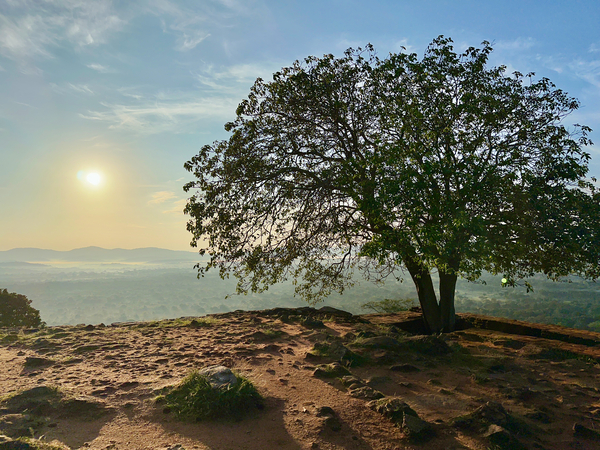 Sunrise on Top of Sigiriya Sri Lanka 12 Print