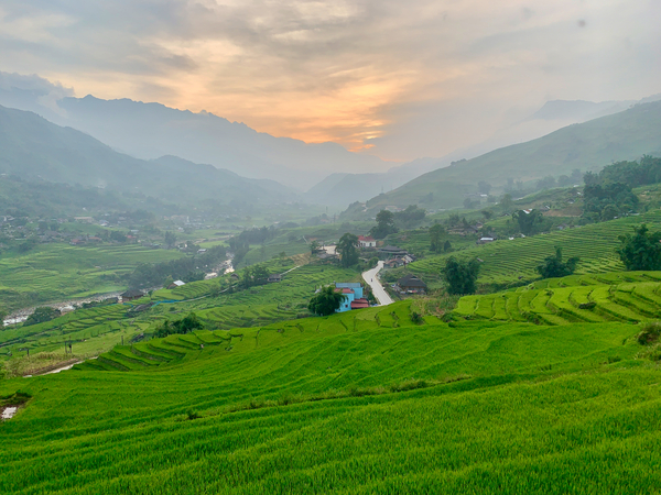Sunset Over Sapa Rice Field Print