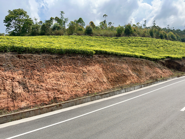 Tea by the Road Print