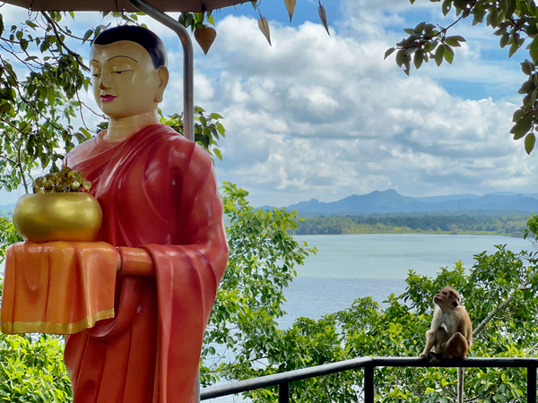 The Monkey and the Monk Print