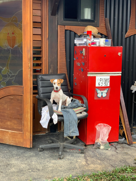 The Red Fridge and the Dog 2 Print