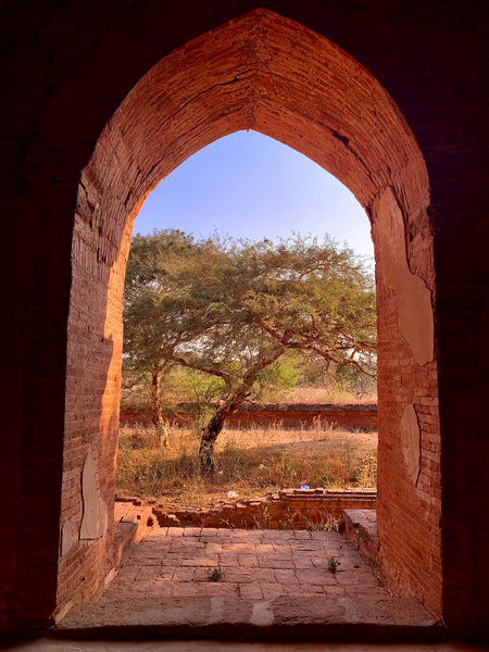 Tree by the window Print