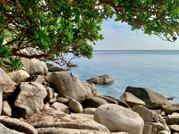 View on the Ocean Print