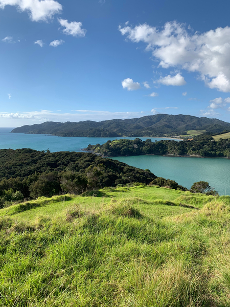 Viewpoint in Rangikapiti Pa Historic Reserve New Print