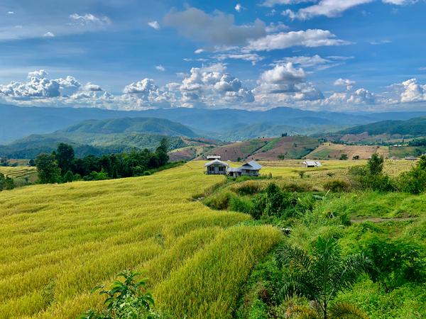Village in the Rice Fields 3 Print