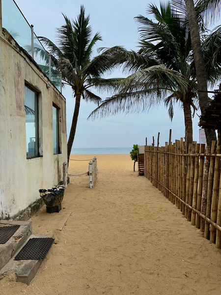 Way to the Beach Print