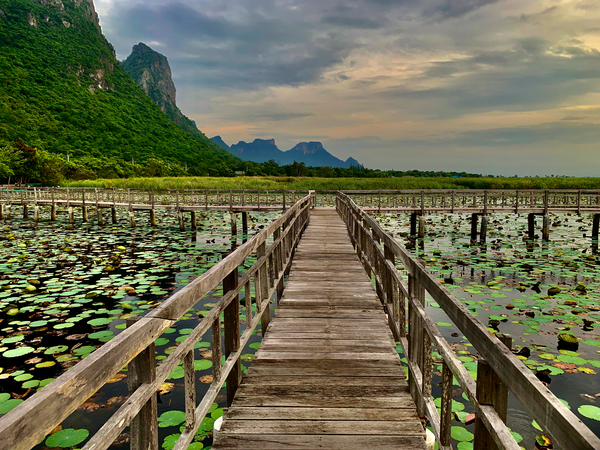 Wooden Walkway Print