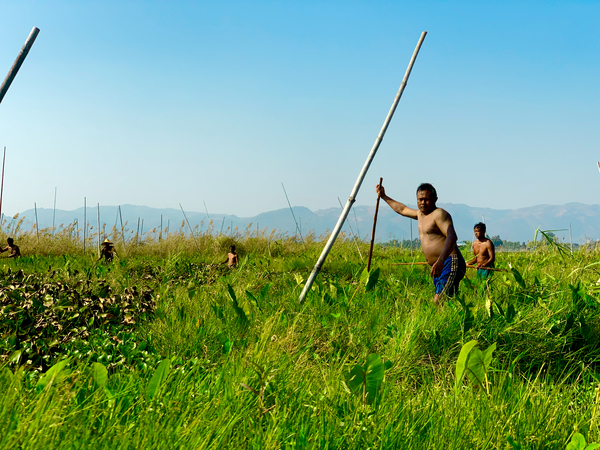Working in the Field Print