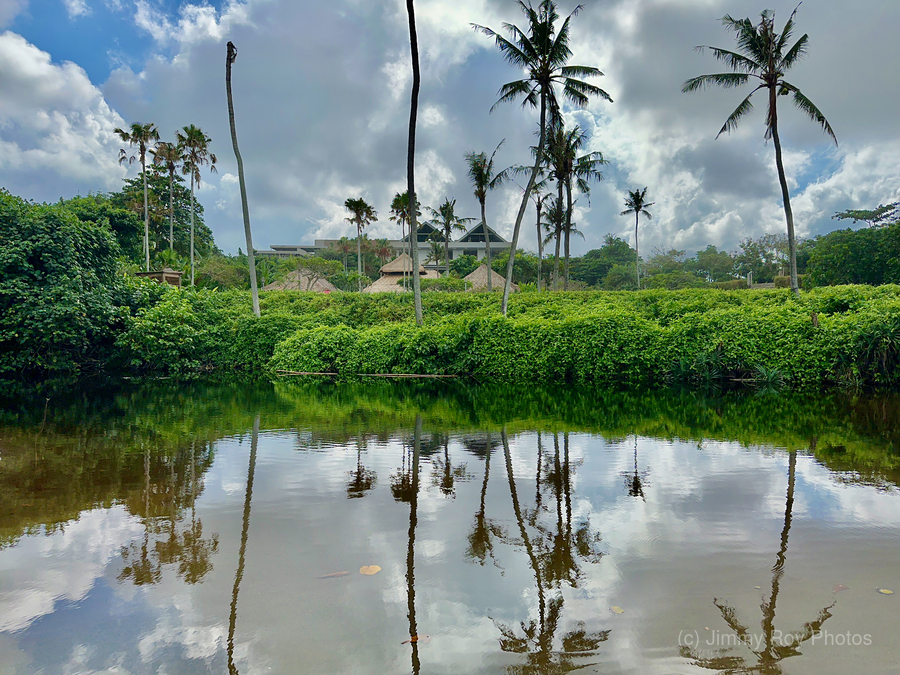 Bali Reflections  Print