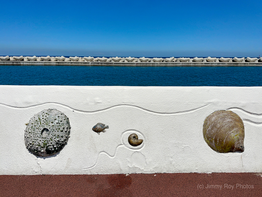 Boardwalk Jeju South Korea 2  Print