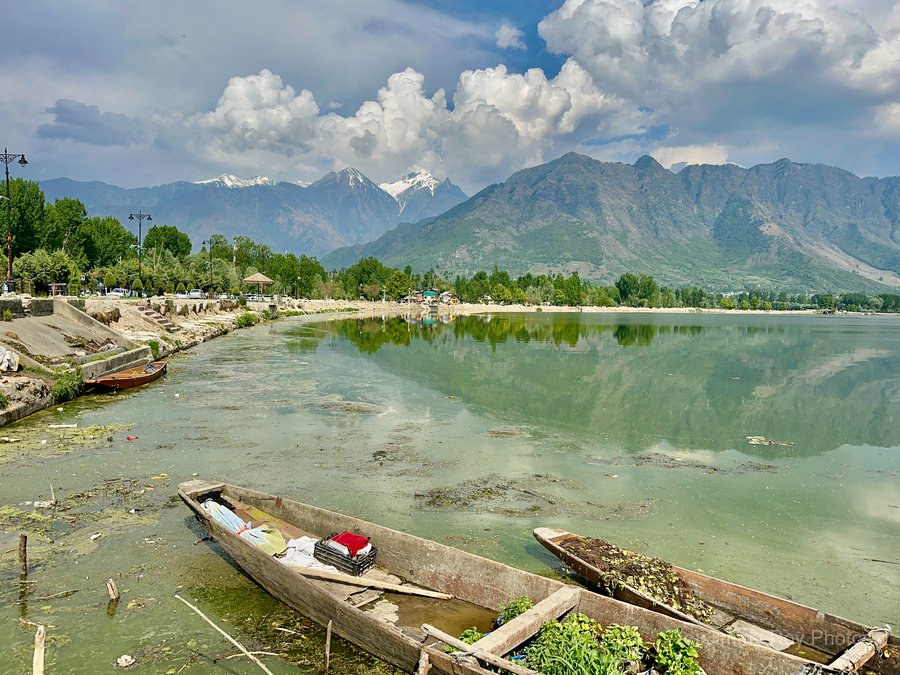 Dal Lake Srinagar 3  Print