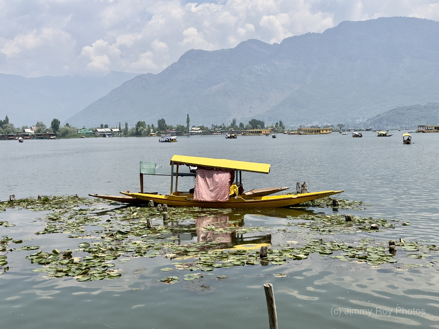Dal Lake Srinagar 9  Print