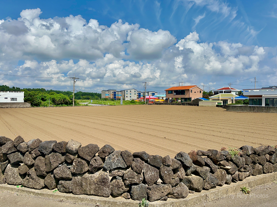 East Coast Jeju South Korea 1  Print
